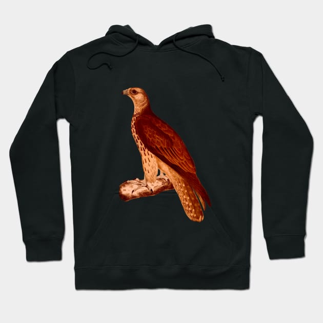 Cherrug Falcon lava Hoodie by Unalome_Designs